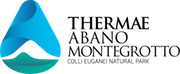 little-aqua